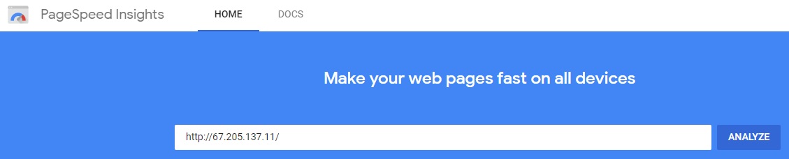 Typing in fake website to PageSpeed Insights